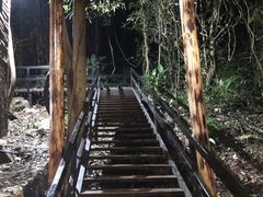 -天门沟九州驿站树上汤泉