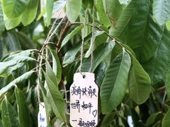 -广州花园酒店