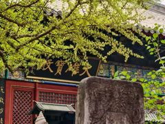 -红螺寺