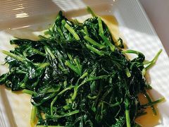 -正兴蜀园(科技园区店)
