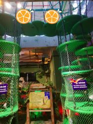 -恐龙探索乐园(磁器口店)