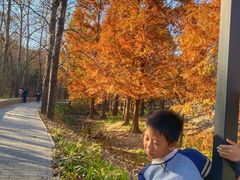 -白水寺森林公园