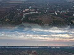 -上海海湾国家森林公园