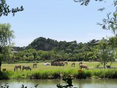 -宁波野生动物园