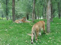 -北京野生动物园