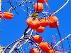 -东亿天弘演播大厅