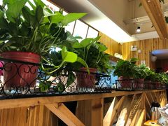 -木屋烧烤(双榆树店)