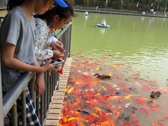 -泰安地下龙宫景区