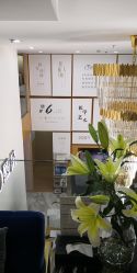 -熙朵美学植发连锁