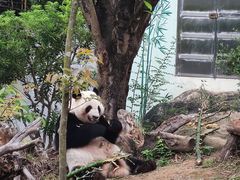 -南宁市动物园