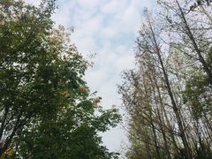 -合肥三国新城遗址公园