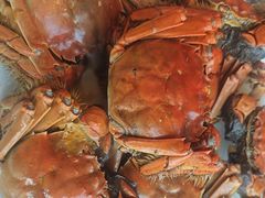 -济南凯宾斯基酒店-THE VIEW云景全日制餐厅