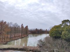 -上海海湾国家森林公园