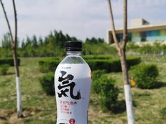 -丁香湖公园