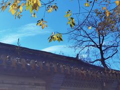 -玫瑰红烤羊排(北新桥三条店)