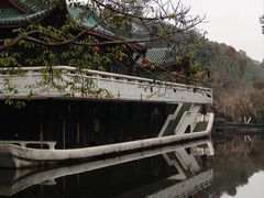 -桂湖森林公园