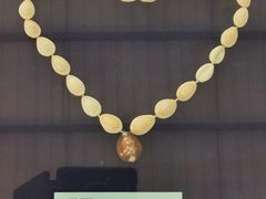 -上海海洋大学鱼文化博物馆(军工路校区)