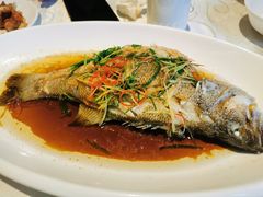 清蒸鲈鱼-粤秀小厨·广式早茶(辽宁路店)