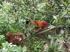 -樱桃山旅游景区