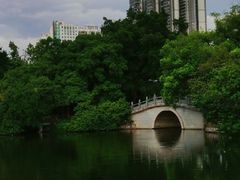 -荔湾湖公园