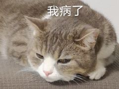 -御宝贝24h宠物医院·转诊中心·CT核磁血透中心(厦门总院)