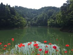 -千岛湖龙川湾