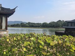 -湘湖大院(越王路店)