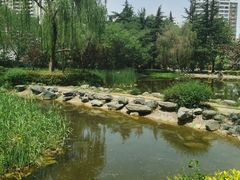 -木塔寺遗址生态公园