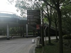 -上海市第一人民医院(松江南部)