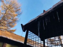 -远洋未来广场(育慧北路店)