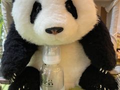 -轩客会(熊猫书店)