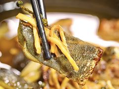 -有腥气私房菜·寻味顺德