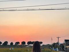 -喜洋洋蟹庄(阳澄湖店)