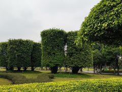 -万绿园