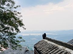 -灵顺寺