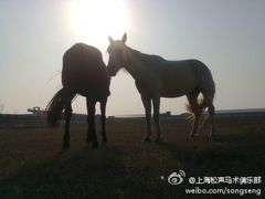 -松声马术俱乐部