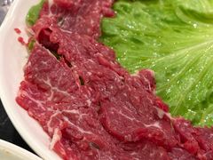 -重庆川渝肥妹火锅