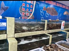 -王潮活海鲜自助·蒸汽海鲜