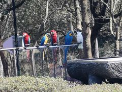 -宁波野生动物园