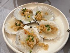 扇贝-79号渔船海鲜饭店(宝安店)