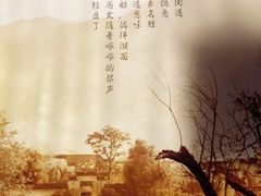 -老伙记海鲜码头(北滘店)