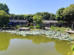 -林丰温泉度假山庄