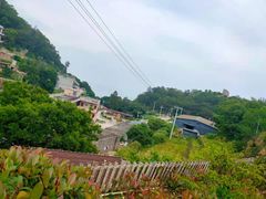 -花竹村