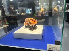 -贝壳王国博物馆