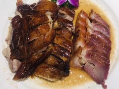 -潮粤香海鲜酒楼(沙湖店)