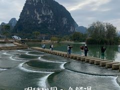 -明仕田园