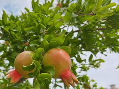 -中关村生命科学园