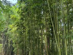 -成都杜甫草堂博物馆