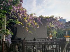 -郑和公园