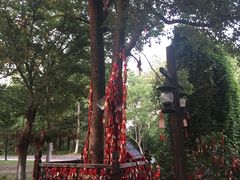 -乌镇西栅景区-月老庙